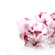 Die Frauenarztpraxis Grafing bei München wird geführt von Frau Dr. med. Carolin Nikolaus und Corinna Heinz und berät Patientinnen kompetent und einfühlsam in allen Bereichen der Gynäkologie & Frauenheilkunde.